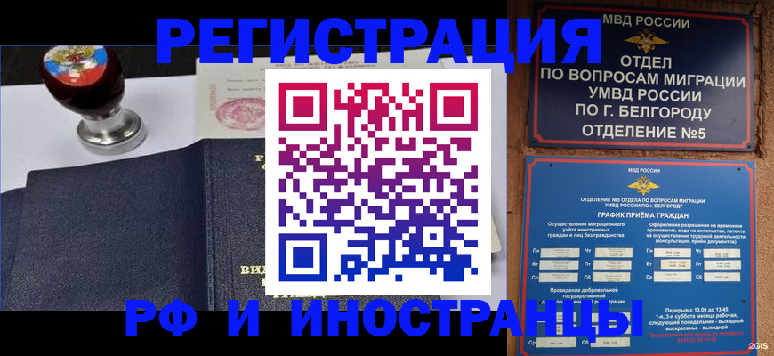 временная регистрация поиск в Луге